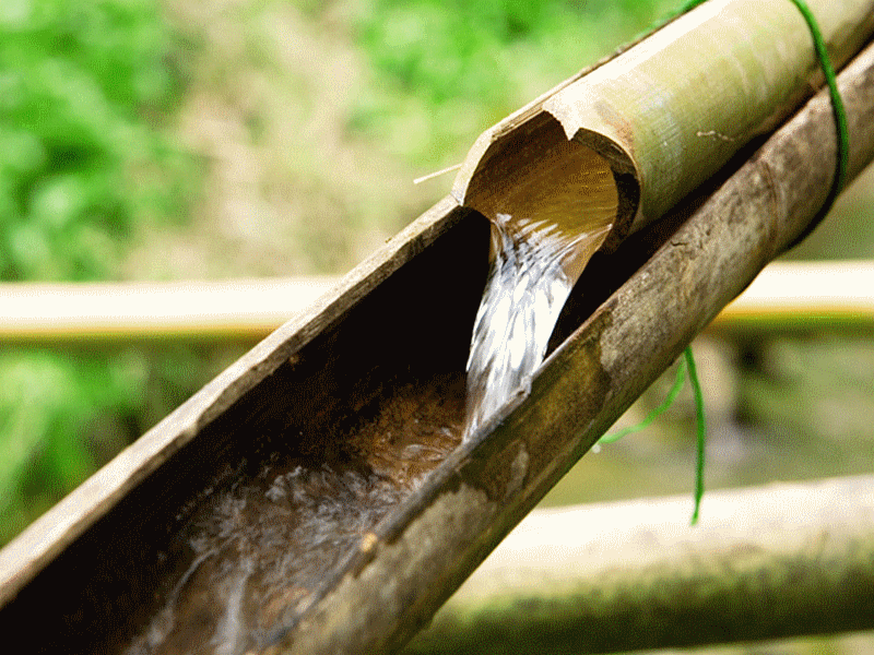 wasser_water_bambou_bamboo